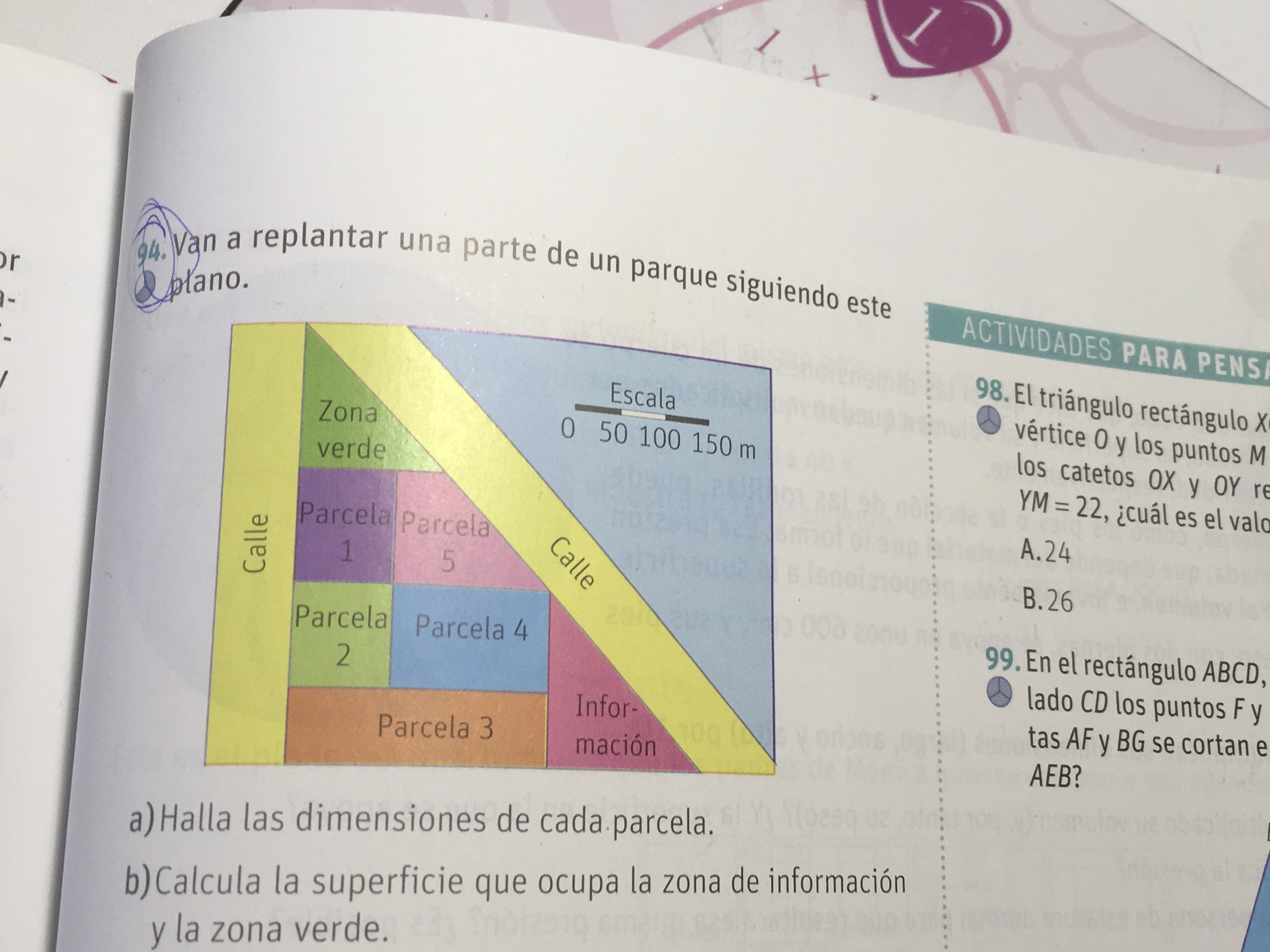 Van a replantar  una parte de un parque siguiendo este plano